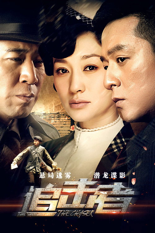 Póster de 追击者