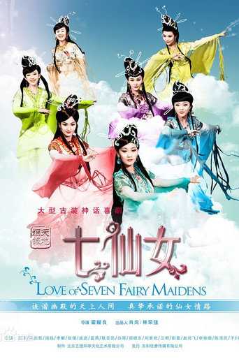 Póster de 天地姻缘七仙女