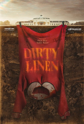 Póster de Dirty Linen