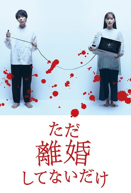 Póster de ただ離婚してないだけ