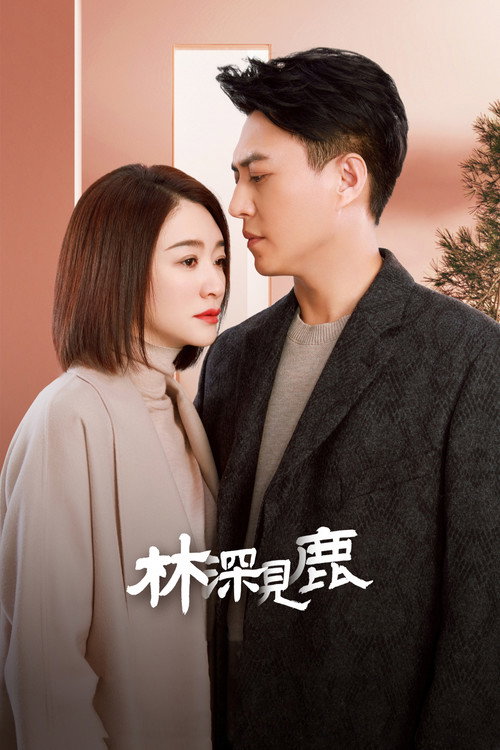 Póster de 林深见鹿