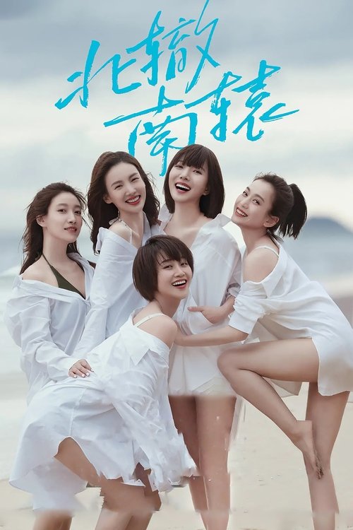 Póster de 北辙南辕