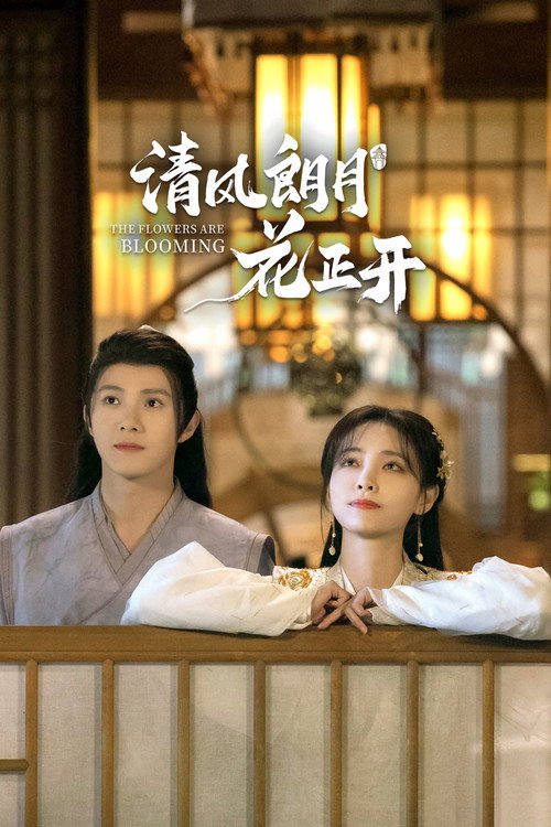 Póster de 清风朗月花正开