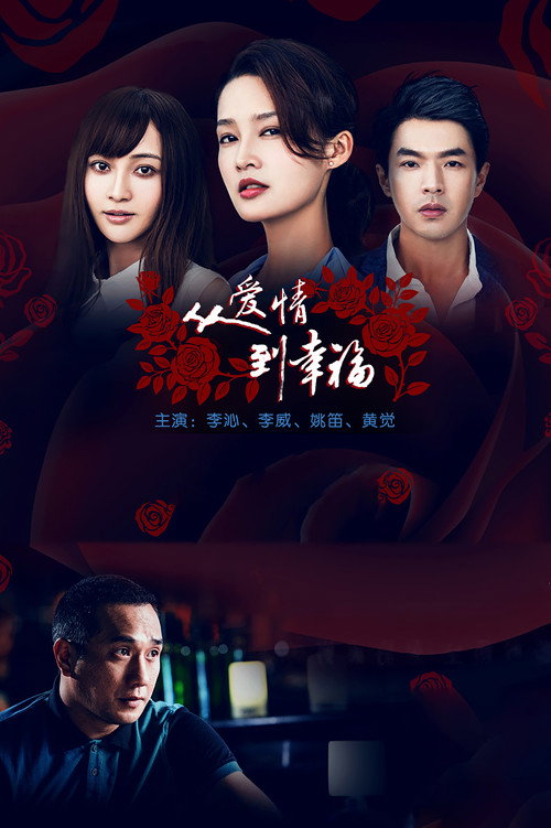 Póster de 从爱情到幸福