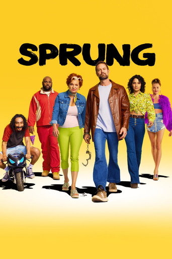 Póster de Sprung