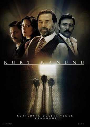 Póster de Kurt Kanunu