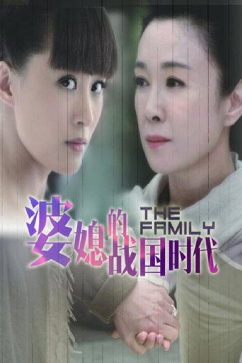 Póster de 婆媳的战国时代