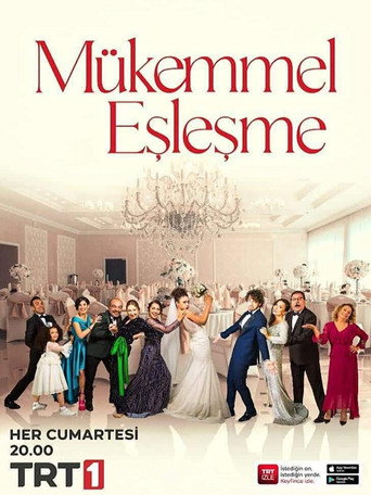 Póster de Mükemmel Eşleşme