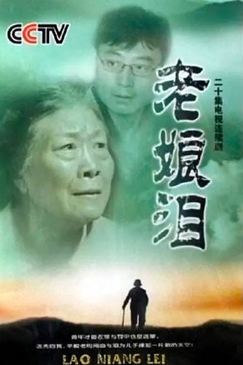 Póster de 老娘泪