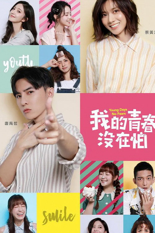 Póster de 我的青春没在怕