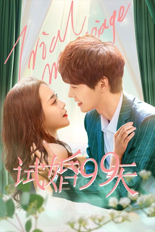 Póster de 试婚99天