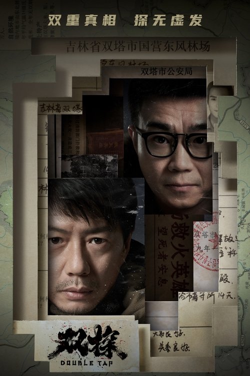Póster de 双探