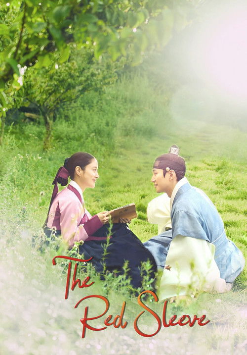 Póster de La manga roja