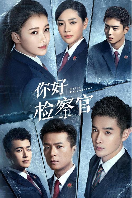 Póster de 你好检察官