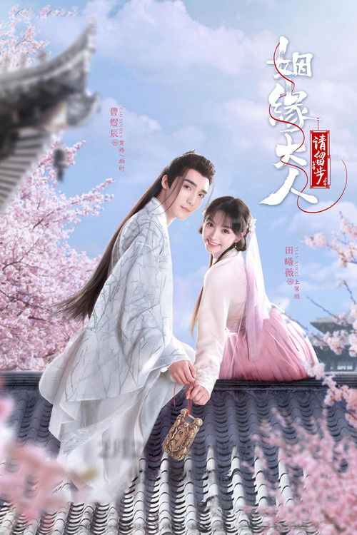 Póster de 姻缘大人请留步