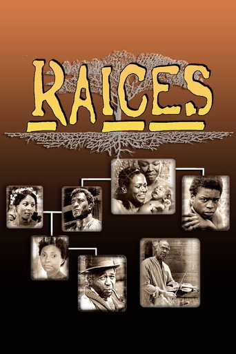 Póster de Roots