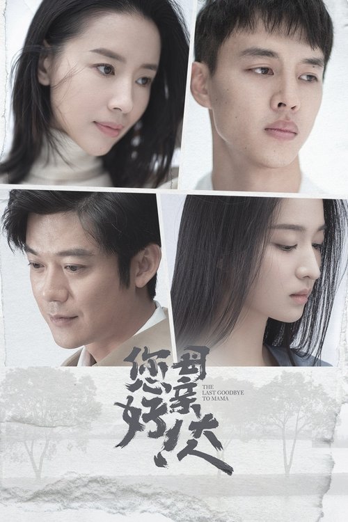 Póster de 您好！母亲大人