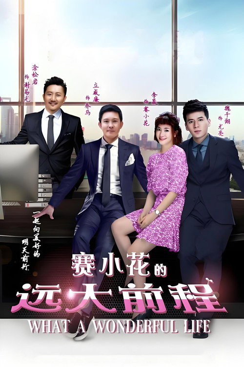 Póster de 赛小花的远大前程
