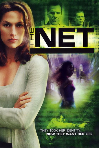 Póster de The Net