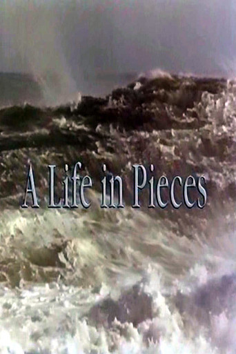 Póster de A Life In Pieces