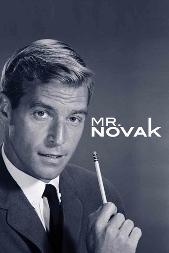 Póster de Mr. Novak