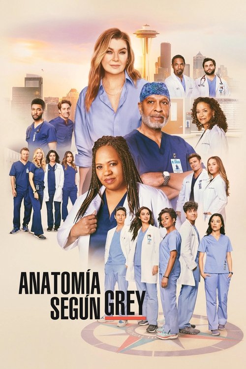 Póster de Anatomía según Grey