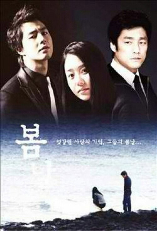 Póster de 봄날