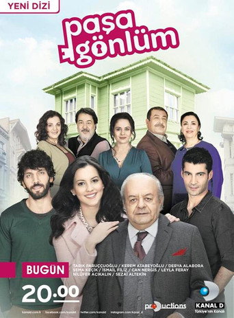 Póster de Paşa Gönlüm