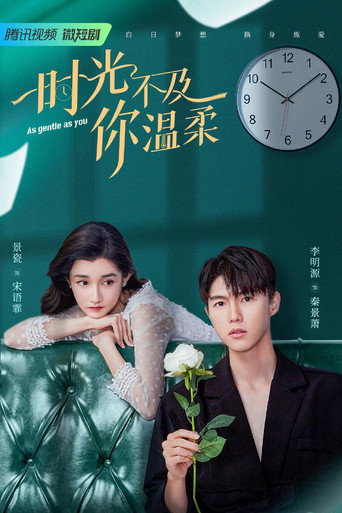 Póster de 时光不及你温柔