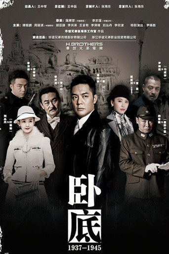 Póster de 卧底