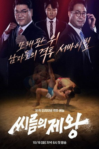 Póster de The King of Ssireum