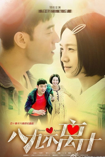 Póster de 八九不离十