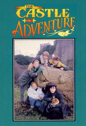 Póster de The Castle of Adventure