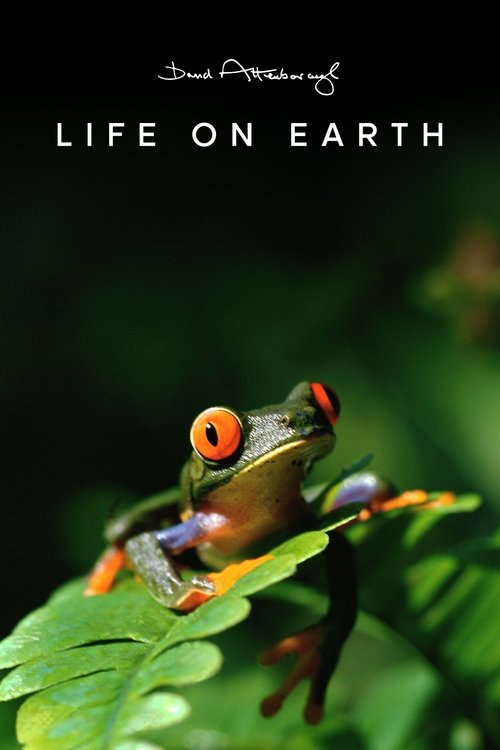 Póster de Life on Earth