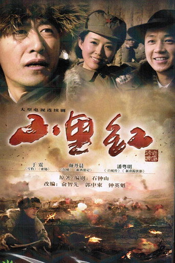 Póster de 山里红