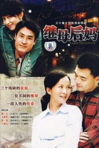 Póster de 继母后妈