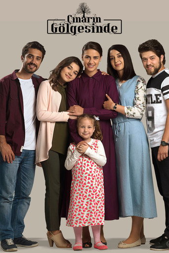 Póster de Çınarın Gölgesinde