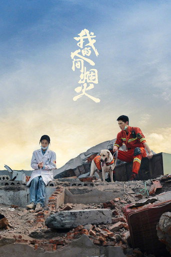Póster de Fireworks of My Heart