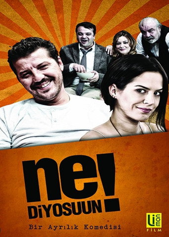 Póster de Ne Diyosuun!