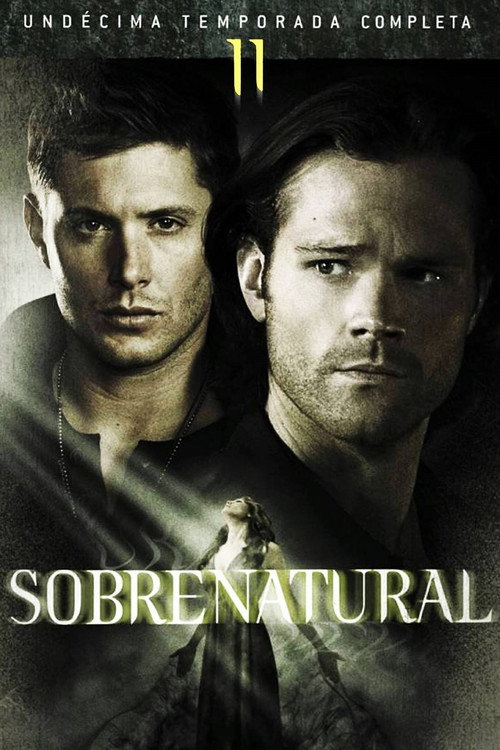 Temporada 11