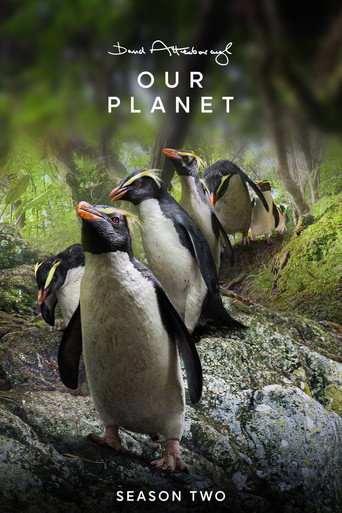 Póster de Mário Fofoca