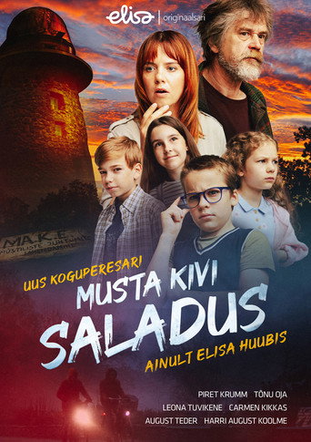 Póster de Musta kivi saladus
