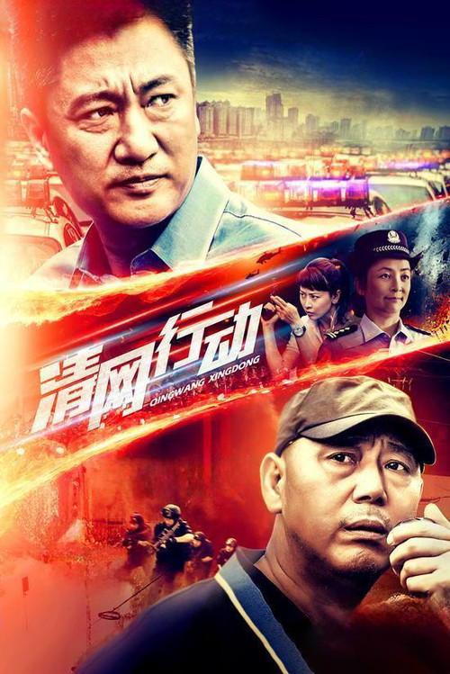 Póster de 清网行动