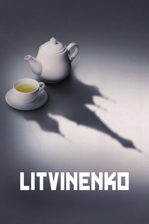 Póster de Litvinenko