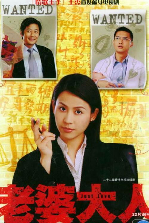 Póster de 老婆大人