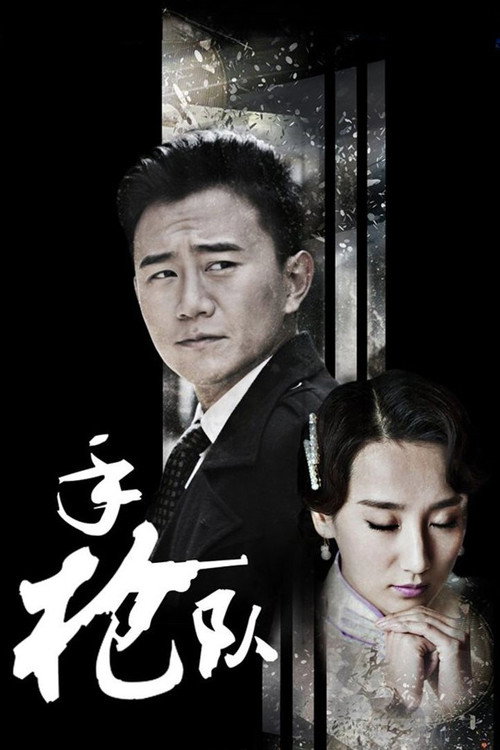 Póster de 手枪队