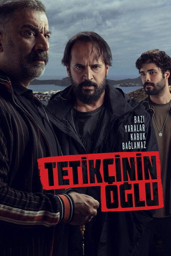 Póster de Tetikçinin Oğlu