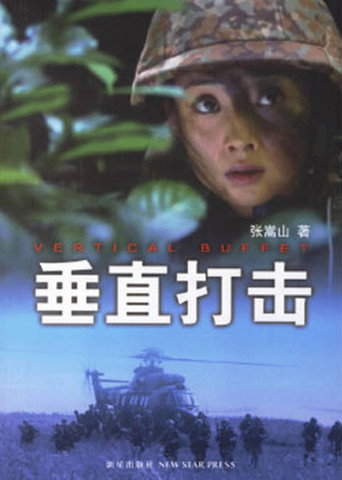 Póster de 垂直打击