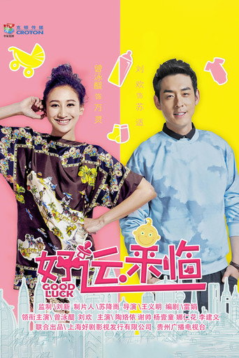 Póster de 好运来临