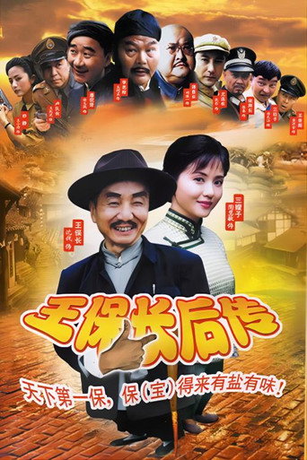 Póster de 王保长后传